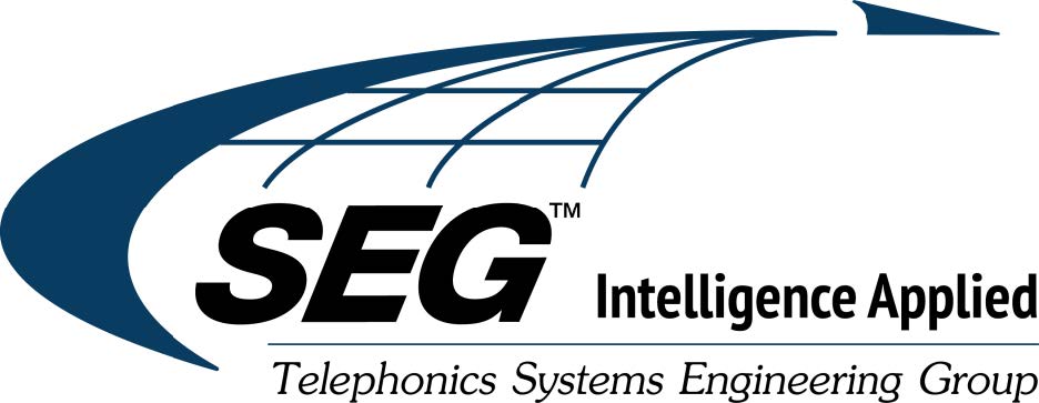 Systems Engineering Group Logo